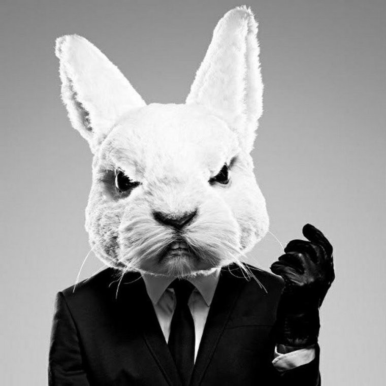 Сериал отбросы кролик