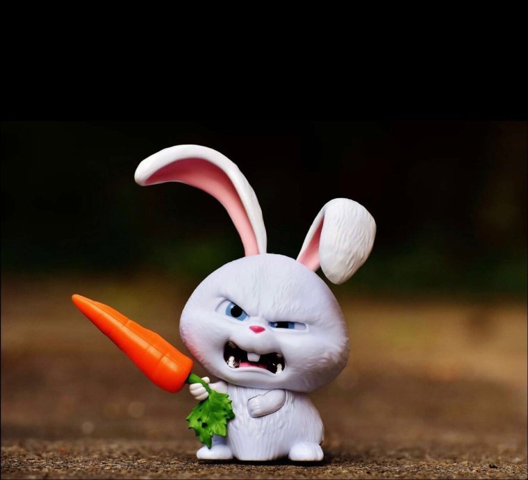 Злобный кролик