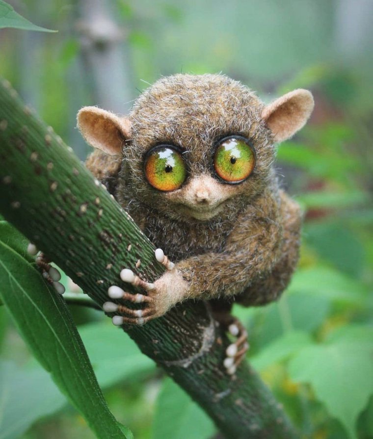 Лемур долгопят