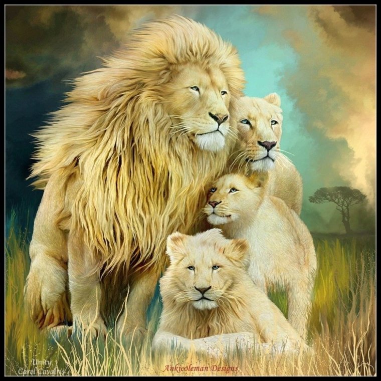 Картина Прайд Львов