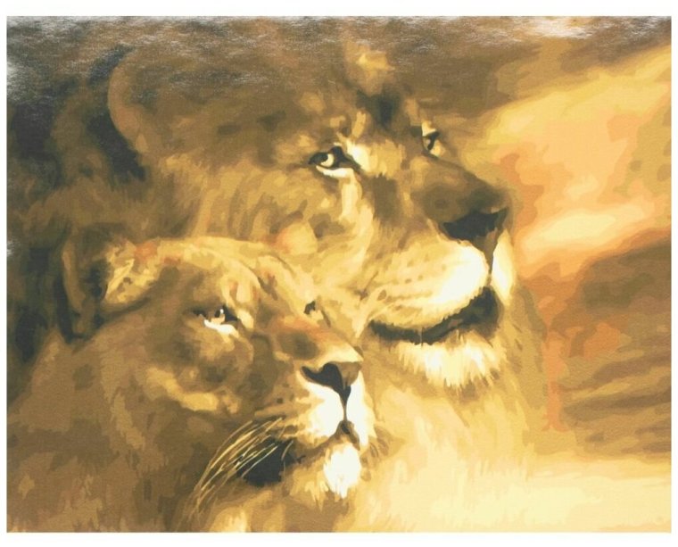 Лев львица и Львенок