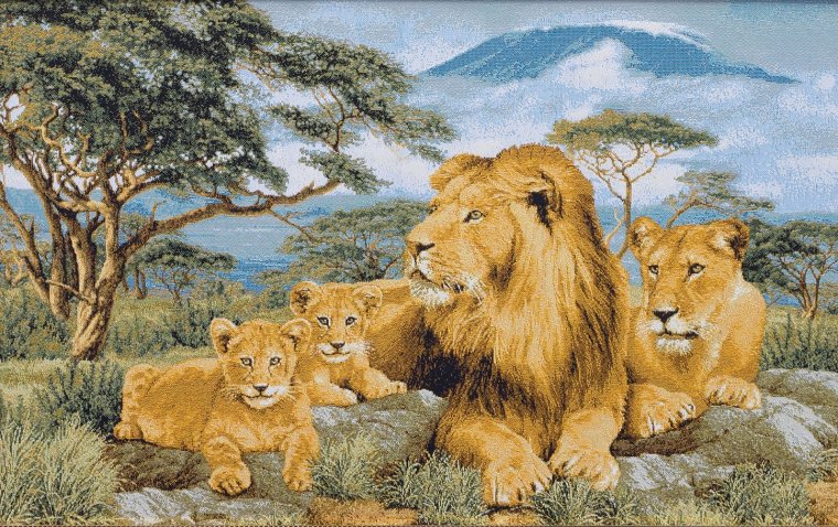 Семейство Львов Прайд