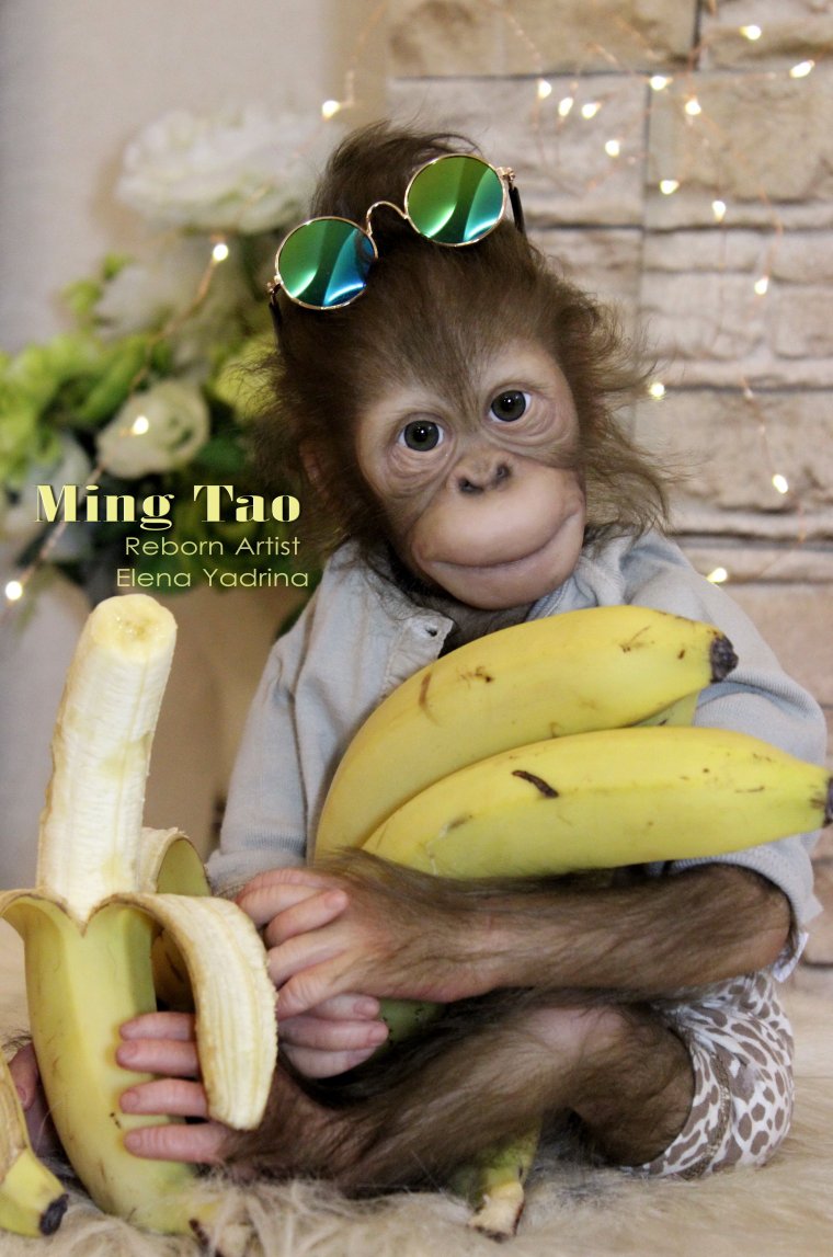 Ауф обезьянки