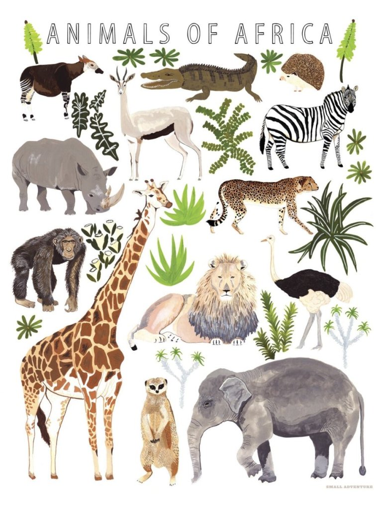 Животные африки