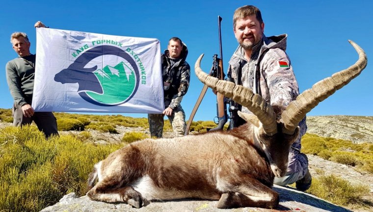 Горные козлы в Крыму