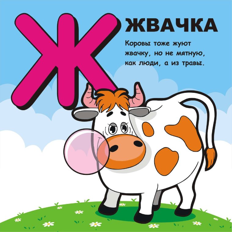 Жвачная корова