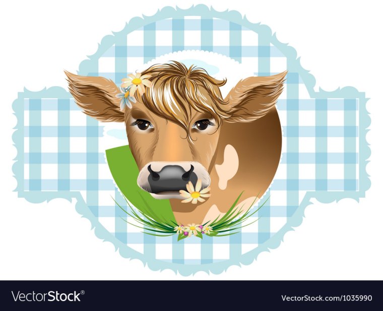 Этикетка с коровой