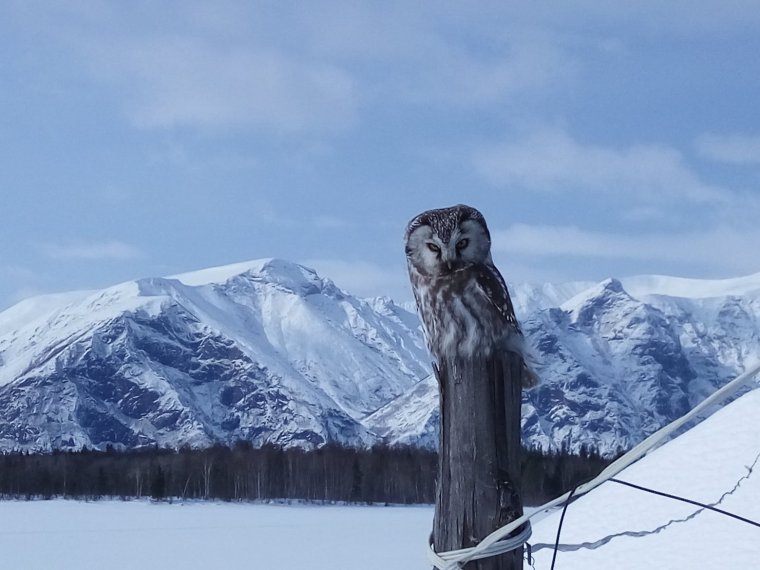 Витимский заповедник