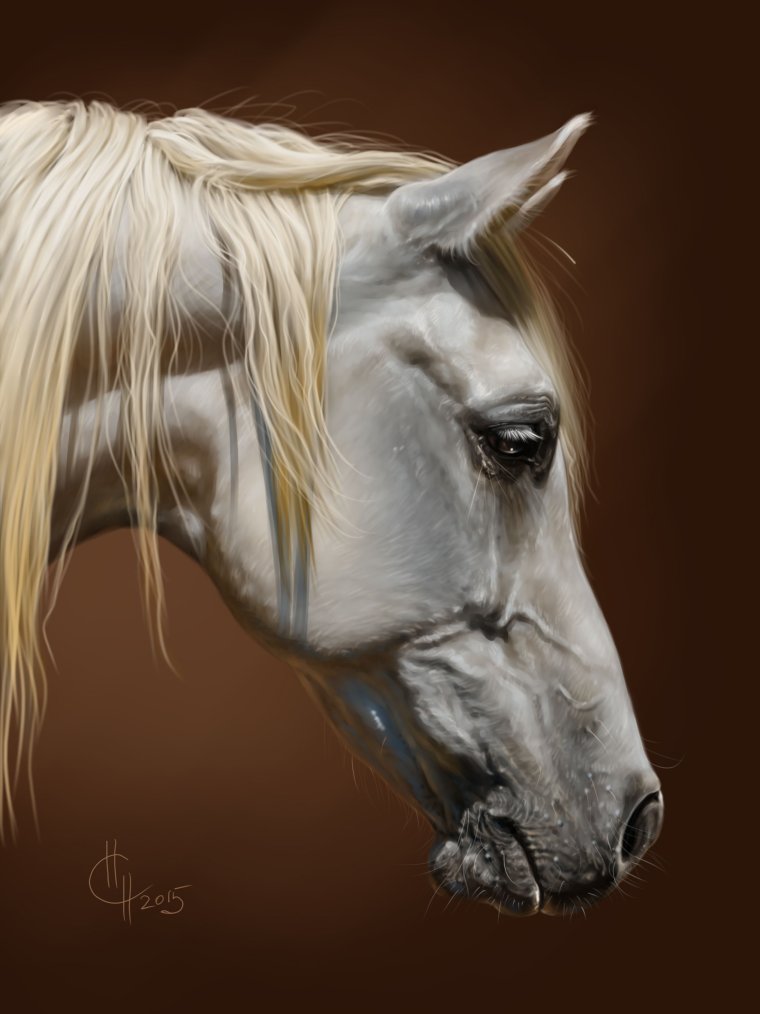 Красивая морда коня