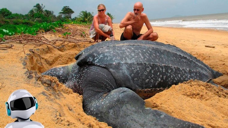 Самые большие звери на планете