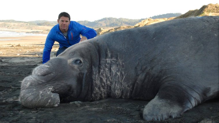 Гиганты мира животных