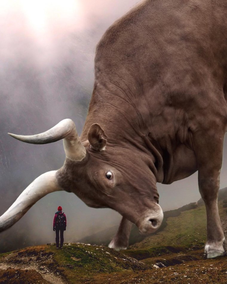 Эбен Маккриммон цифровой художник