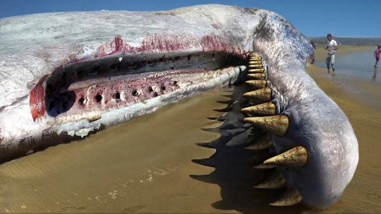 Десятка самых страшных животных мира