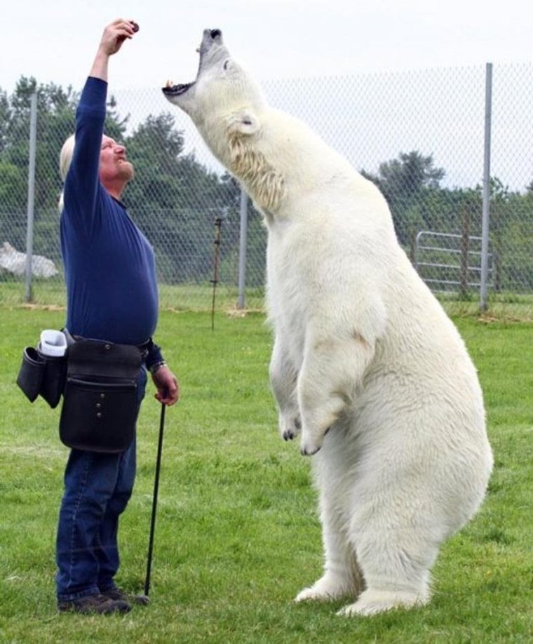 Марк Эббот Думас