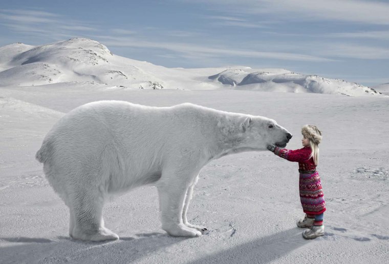 Белый медведь и человек