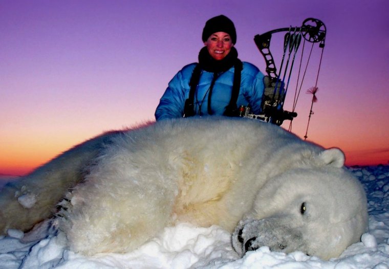 Белый медведь и человек