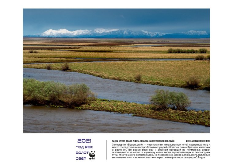 Растения и животные реки Амур