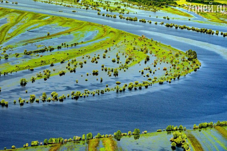 Животный мир Иртыша