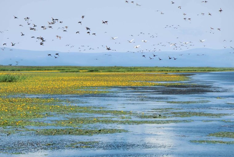 Кабанский заказник Бурятии