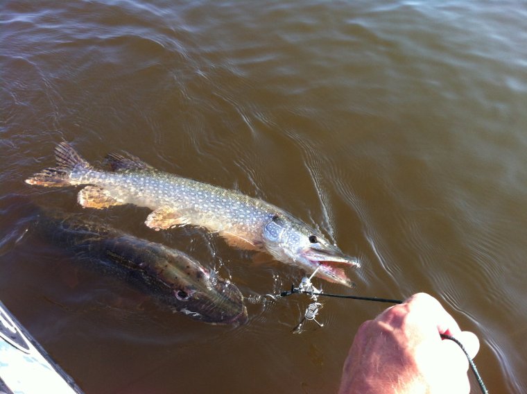 Рыбалка на Оби летом