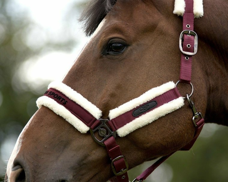 Недоуздок 510103 EQUITHEME