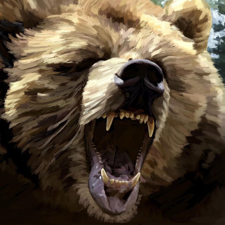 Медведь Гризли