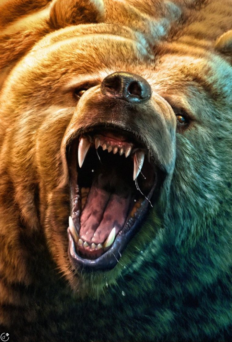 Медведь Гризли оскал