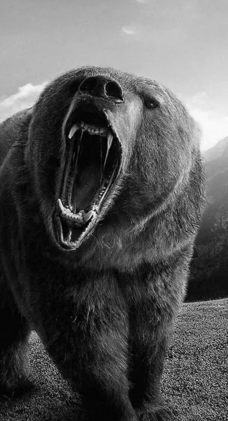 Свирепый медведь Гризли