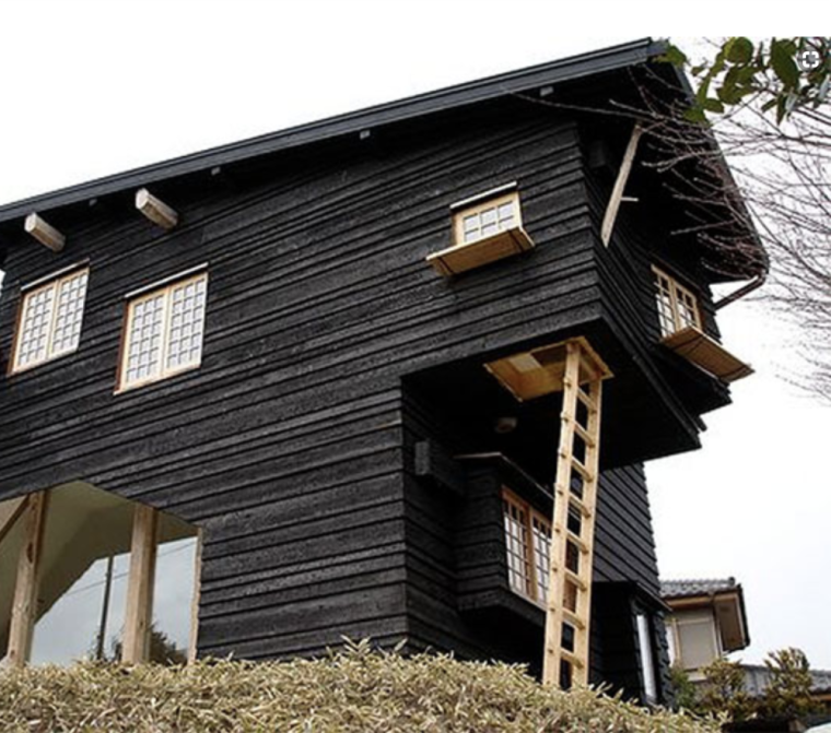 Сайдинг Shou Sugi ban