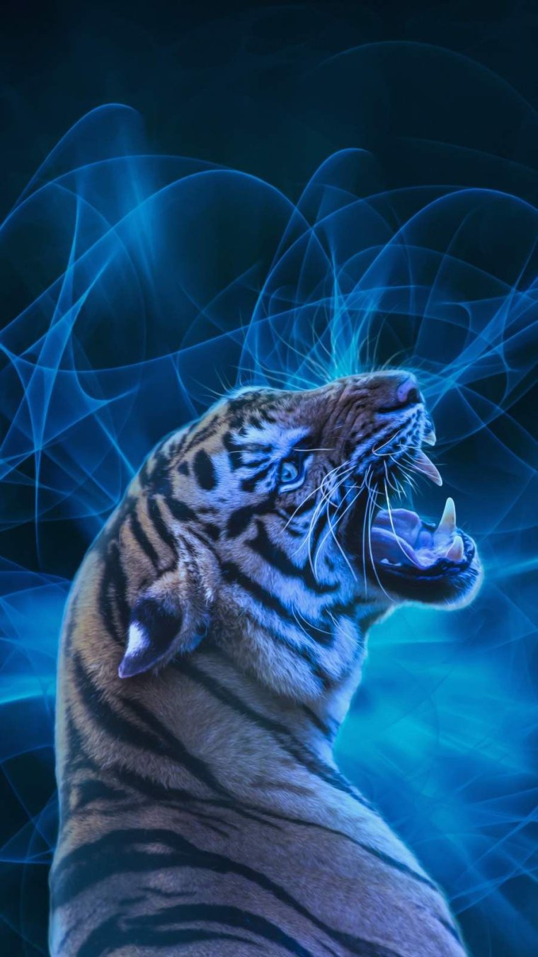 Голубого тигра