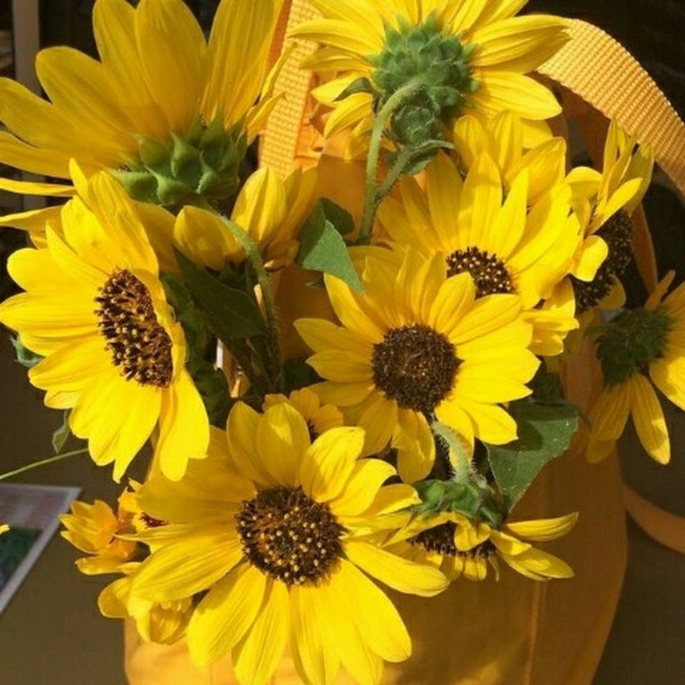 Эстетика жёлтого и коричневого