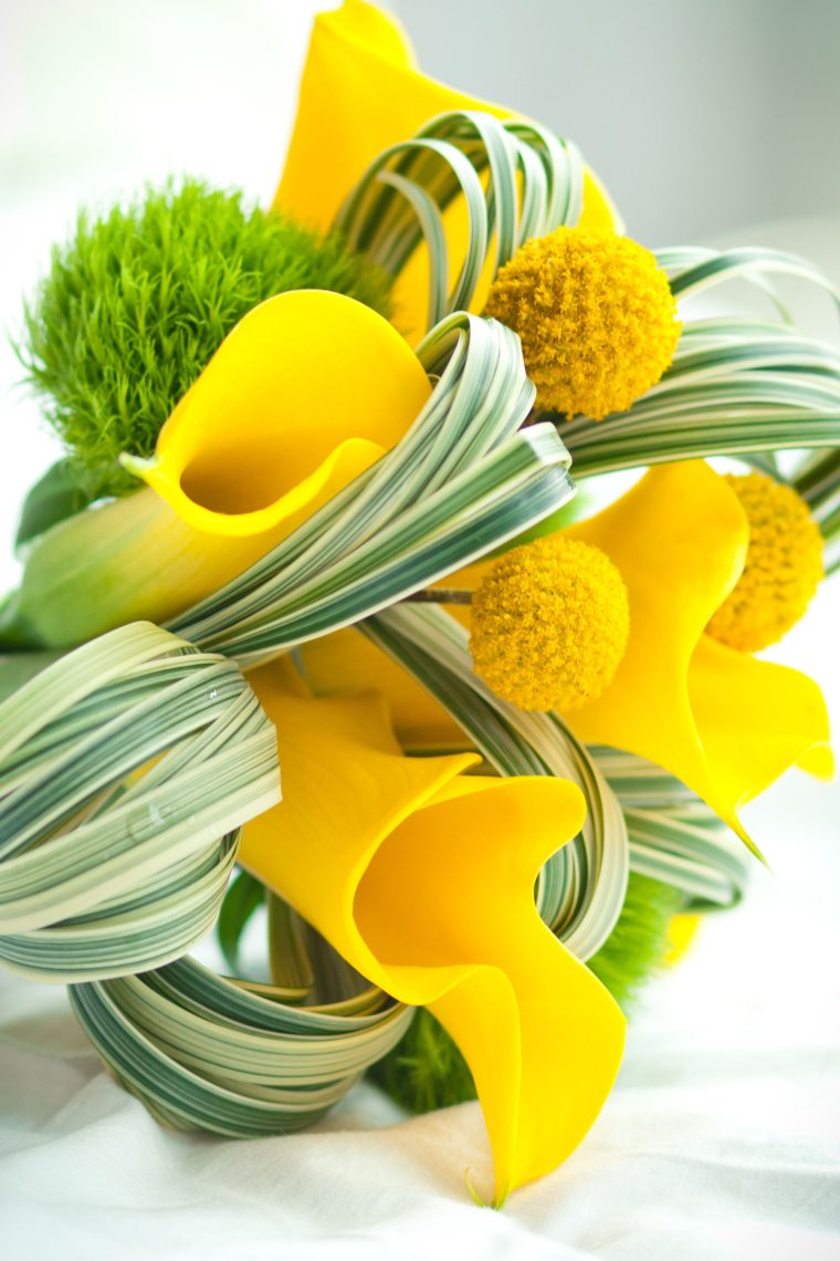 Желто-зеленая композиция