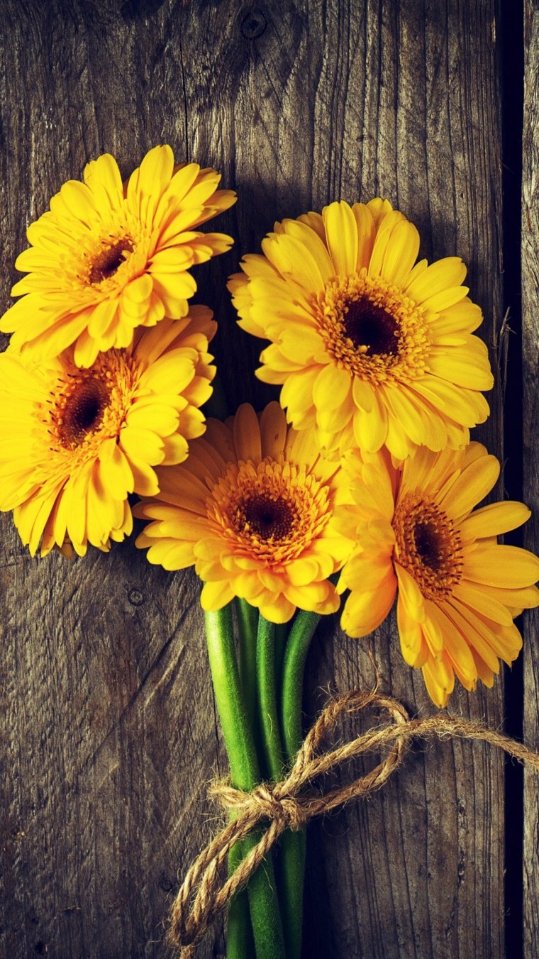 Желтые герберы