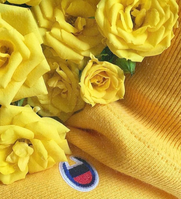 Йеллоу Эстетика