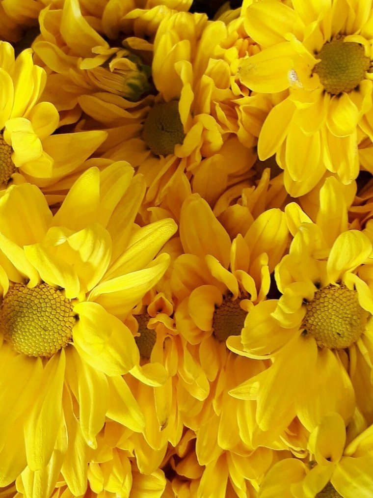 Йеллоу цвет