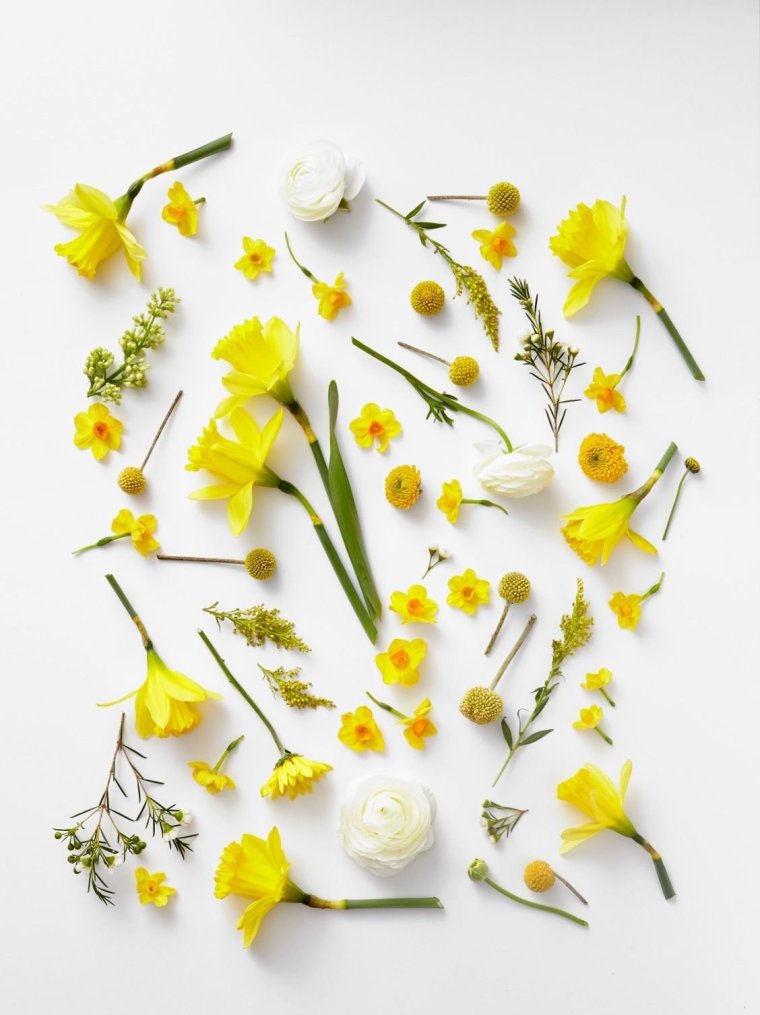 Жёлтый цветок