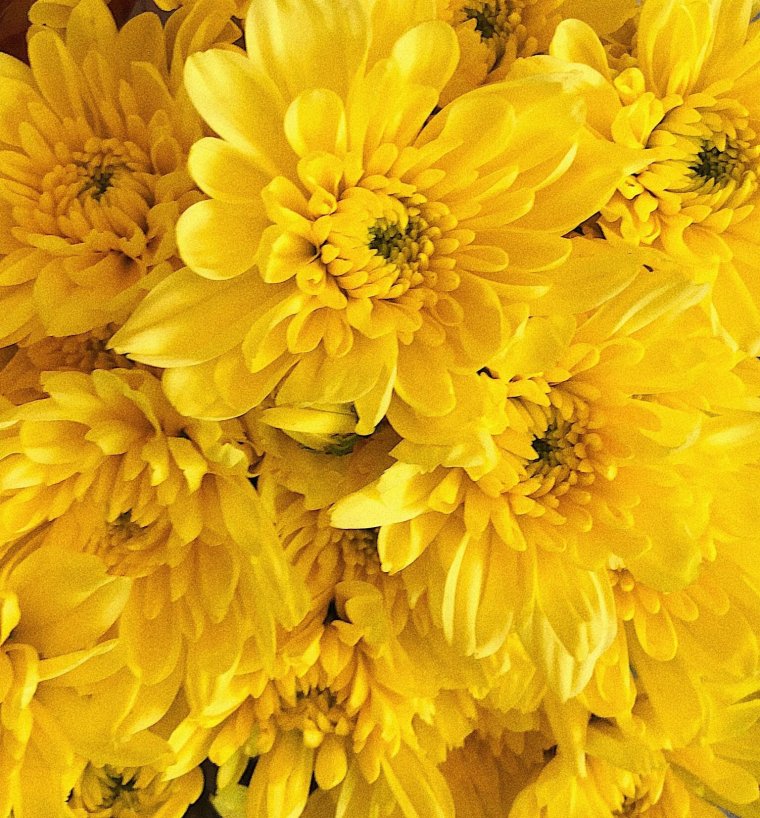 Эстетика жёлтогоцвета