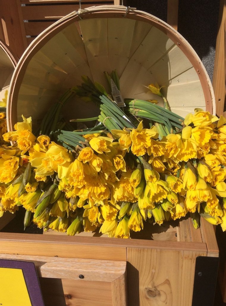 Эстетика салатового и жёлтого