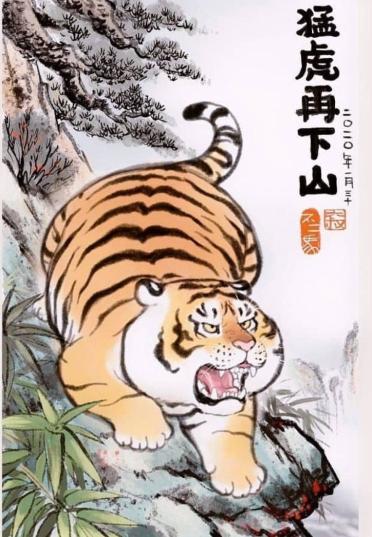 Китайский толстый тигр