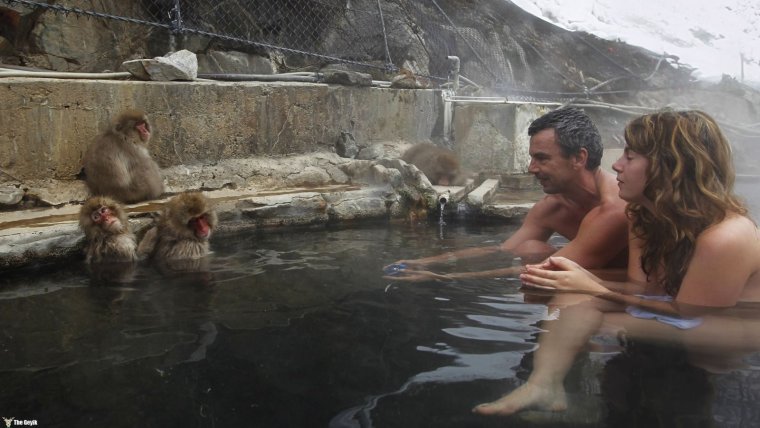 Обезьянки купаются в горячих источниках в Японии