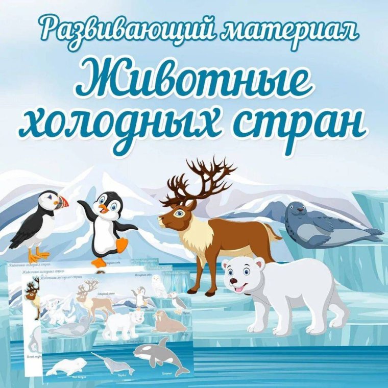 Животные холодных старн
