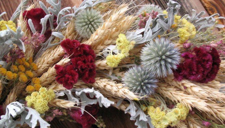 Азалия сухоцветы