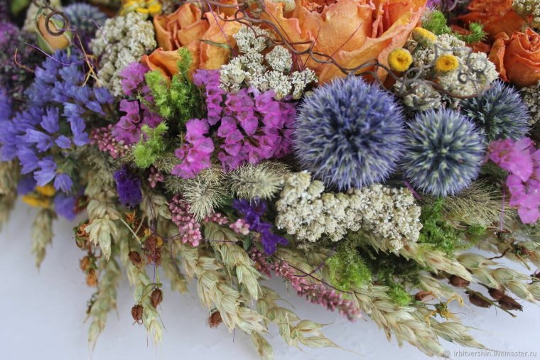 Эулалия сухоцвет