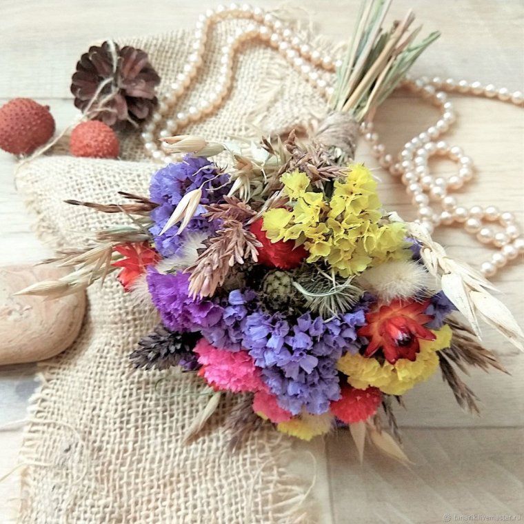 Скимия сухоцвет