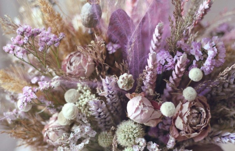 Хилл Флауэр сухоцвет