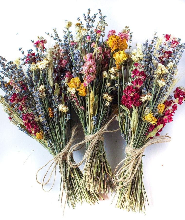 Сухоцвет Вейник