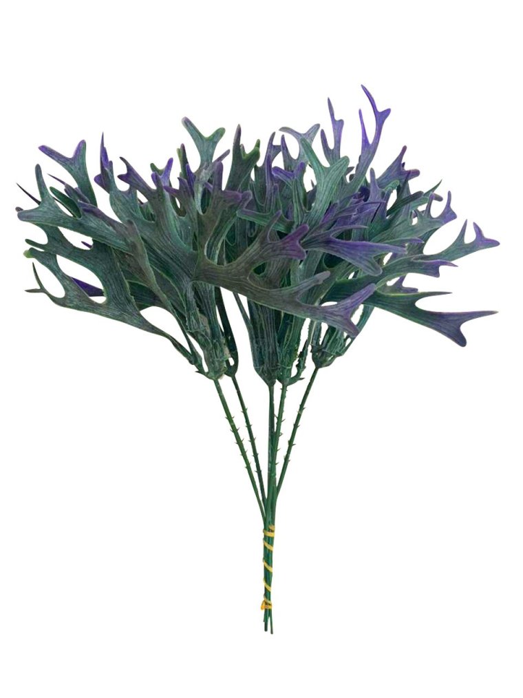 Растение Оленьи рожки садовое