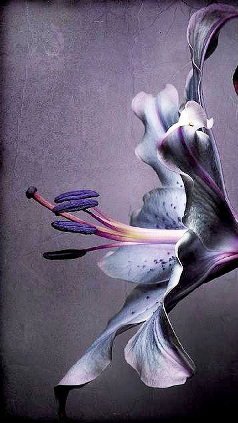 Цветы необычные сюрреализм