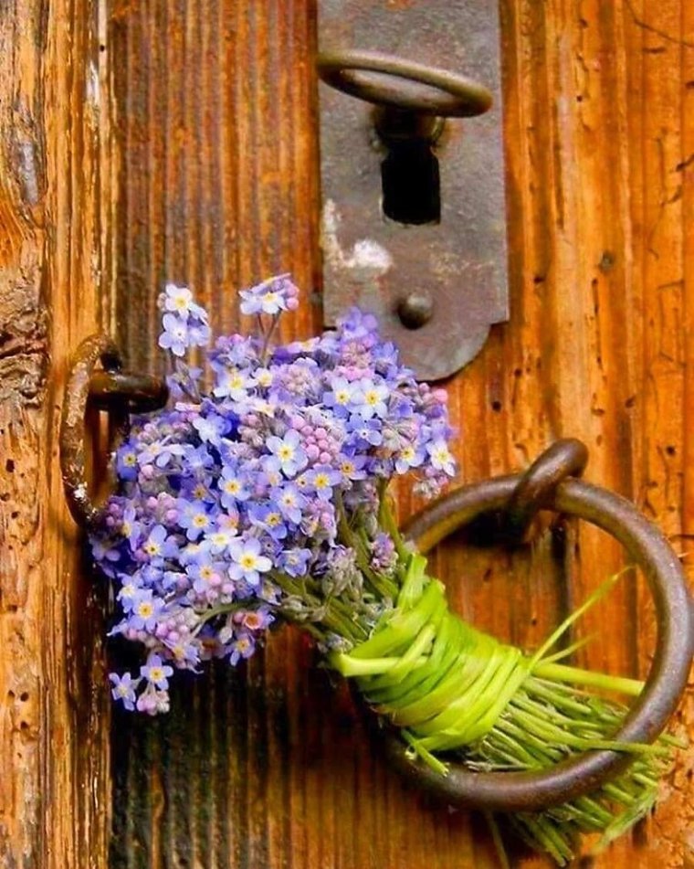 Старая дверь в цветах