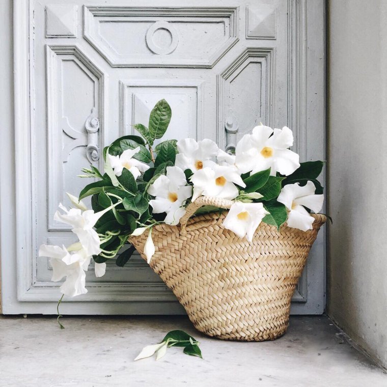 Бедняк с корзиной цветов